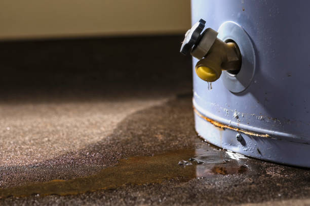 Best Flood damage cleanup  in Robesonia, PA
