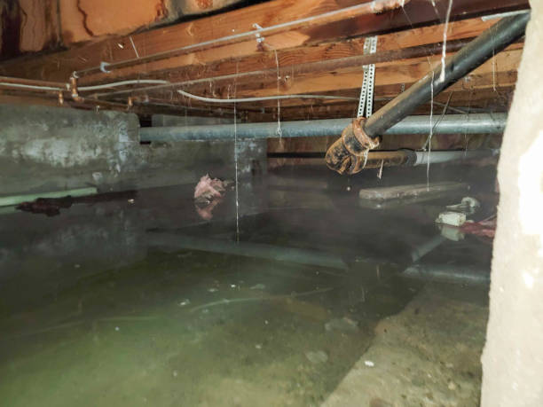 Best Local water damage restoration  in Robesonia, PA