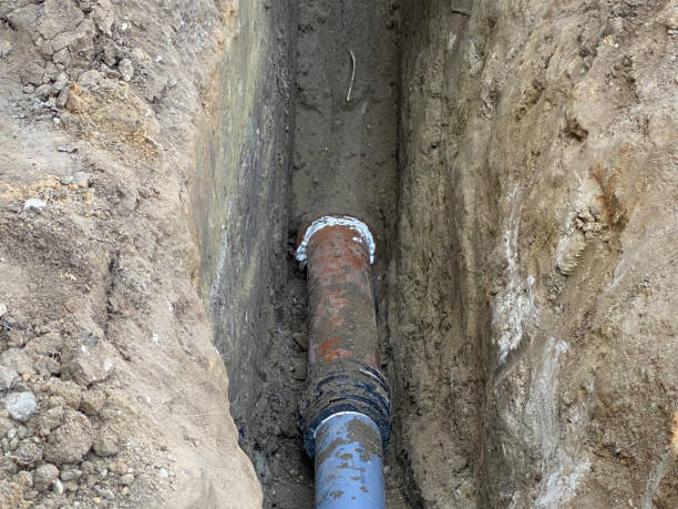 Best Flood restoration services  in Robesonia, PA