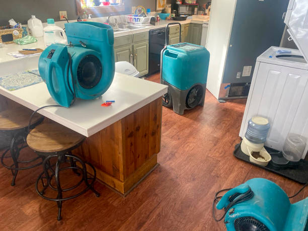 Carpet water damage restoration in Robesonia, PA