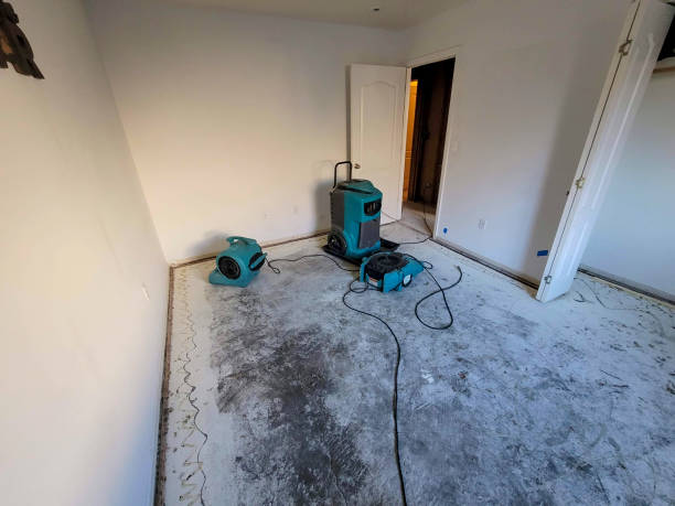 Best Basement water damage restoration  in Robesonia, PA