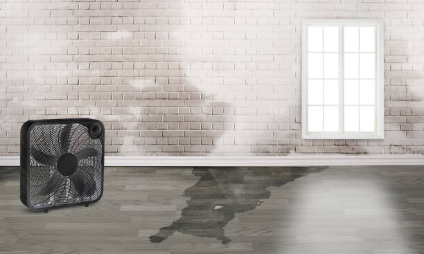 Professional Water damage restoration in Robesonia, PA