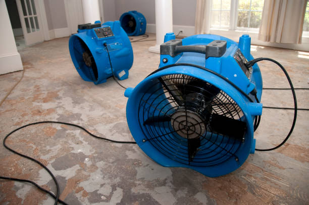 Best Ceiling water damage repair  in Robesonia, PA