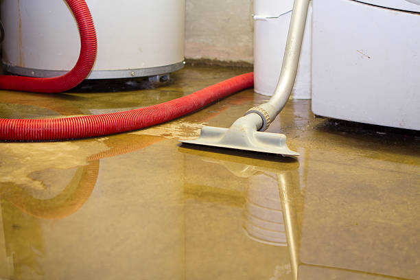 Best Commercial water damage restoration  in Robesonia, PA
