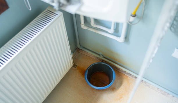 Water damage restoration mold remediation in Robesonia, PA