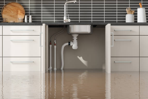Reliable Robesonia, PA Water damage restoration Solutions